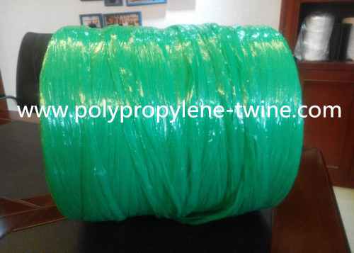 Quality Green Color Raw Polypropylene Baler Twine 180LB Breaking Strength For Banana for sale