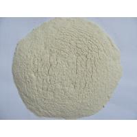 China wholesale Dehydrated/dried garlic powder exporter in china factory