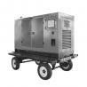 China 40kw Portable Power Diesel Generator with Excellent Cooling System factory