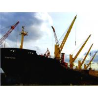 China Hydraulic cargo crane offshore marine crane supplier factory