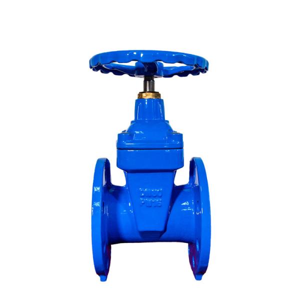 Quality Ductile Iron BS5163 Gate Valve PN10 PN16 PN25 3