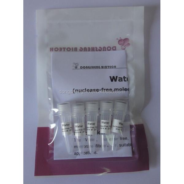 Quality 100ml Molecular Biology Grade PCR Master Mix P9022 Water Nuclease Free PCR for sale