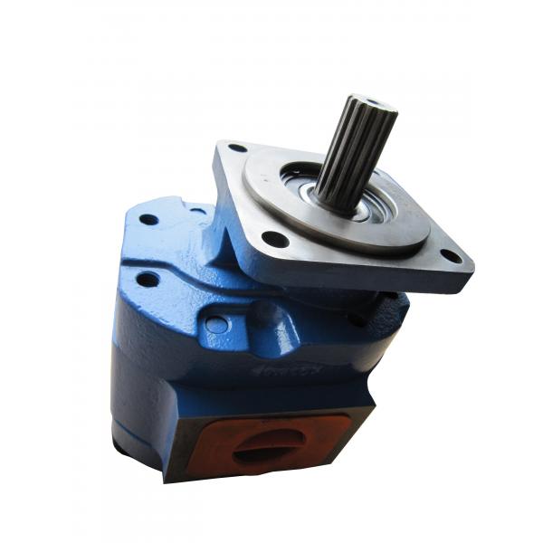 Quality 11C0043 P7600-F140X  Gear Pump  for Wheel Loader Spare Parts for sale