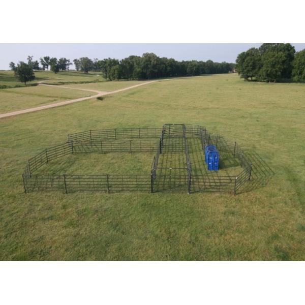Quality Painted 14 16 Gauge Livestock Fence Panels Temporary Lightweight Gates for sale