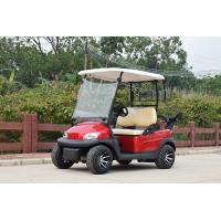 China 2 Person Electric Golf Carts Club Electric Buggy With Golf Bag Bracket With CE Certification factory