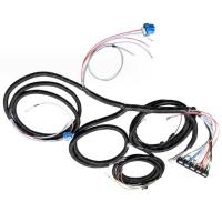 Quality Plastic Electric Vehicle Wire Harness Assembly OEM Voltage 24V for sale