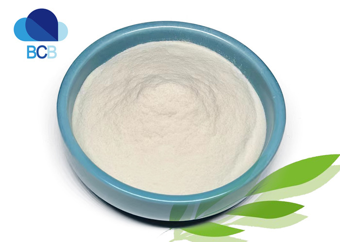 China Pharmaceutical Chondroitin Sulfate Powder CAS 9007-28-7 99% factory