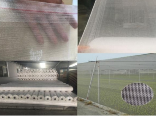 Quality 115gsm Agriculture Insect Net UV Protection 4m Plastic Insect Net 50x25 Mesh for sale