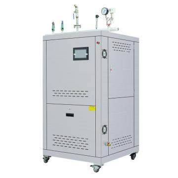 Quality Small Custom Steam Generator Low Noise 0.7Mpa Natural Gas Fired Steam Generator for sale