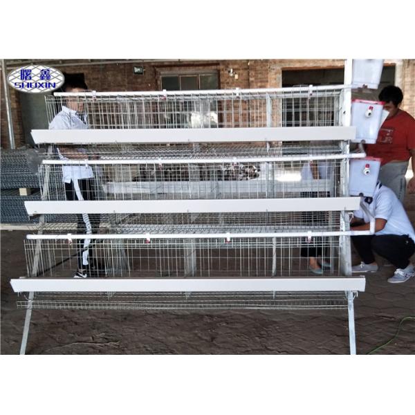 Quality 4 Tiers Chicken Layer Cage 4 Cells 128 Birds For Zambia Less Waste Water for sale