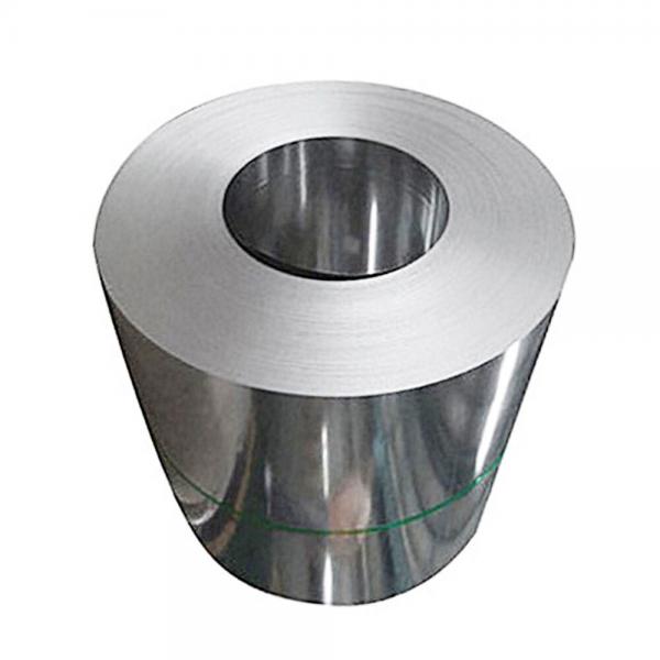 Quality No.8 Finish SS310 Stainless Steel Sheet Roll OEM Stainless Steel Cold Rolled Coils for sale
