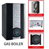 Quality Black Case Gas Wall Hung Boiler 20Kw Metal Shell Tankless Hot Water Furnace for sale