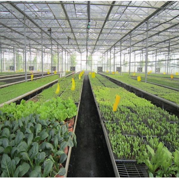 Quality 5kw Greenhouse Solar System Ground Mount 10-60° Tilt Angle Thickness 2.0mm/2.5mm for sale