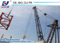 China WD100 model (2420) 10ton Derrick Crane for Dismantle Internal Tower Cranes factory