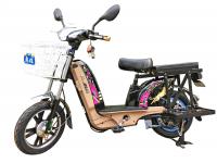 China 16'' Electric Powered Bikes Drum Brake Power Assisted Bicycle With Tubeless Vacuum Tires factory
