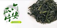 China China famous Green tea (Longjing/Dragon well green tea) factory