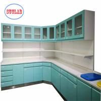 China Adjustable Shelves Hospital Furniture Disposal Cabinet with Sink Manufacturers factory