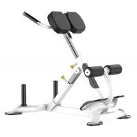China Rohs Roman Chair Back Extension Exercise Machine for Gym for sale