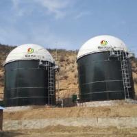 China Technology Of Biogas Production Biogas Digestion Agricultural Biogas Plant for sale