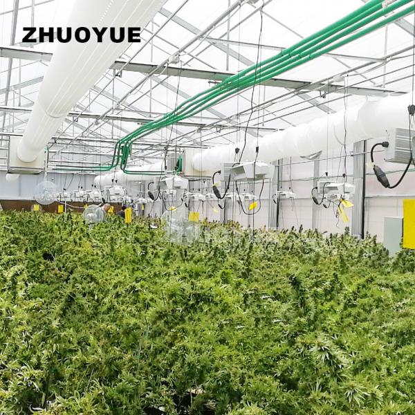 Quality Auto Blackout Greenhouse Light Deprivation Greenhouse For Controlled Crop for sale