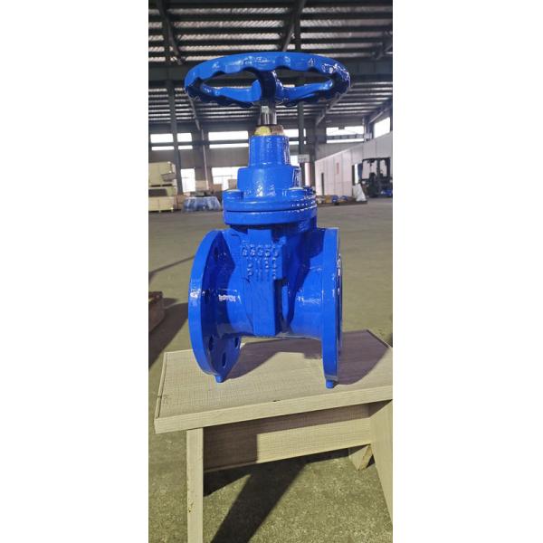 Quality 4" Flanged CI Soft Seat Gate Valve With Cap GB Standard for sale