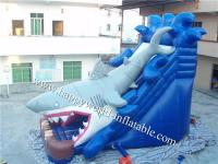 China inflatable dry slide , inflatable castle slide , inflatable shark slide factory