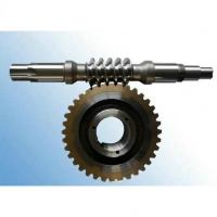 China Electric Motor Worm Gear with Standard Module factory