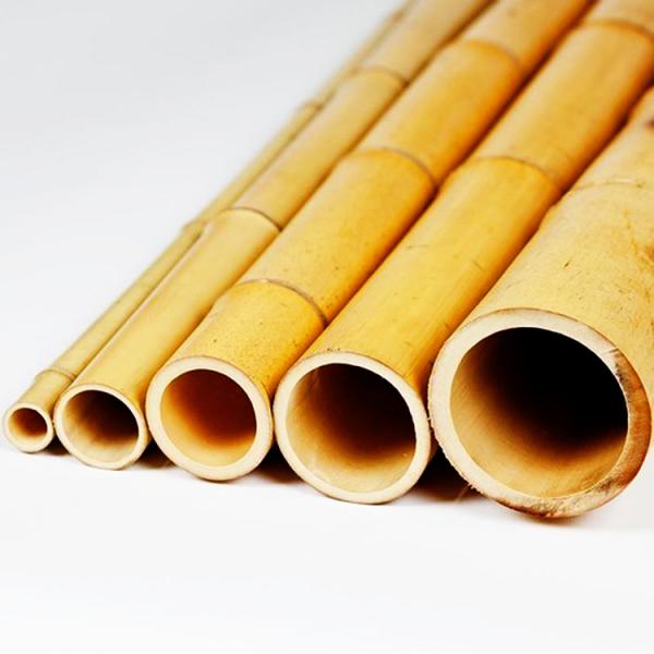 Quality Eco Friendly 3 Inch Moso Bamboo Pole Bamboo Stakes For Plant Decoration Yellow for sale