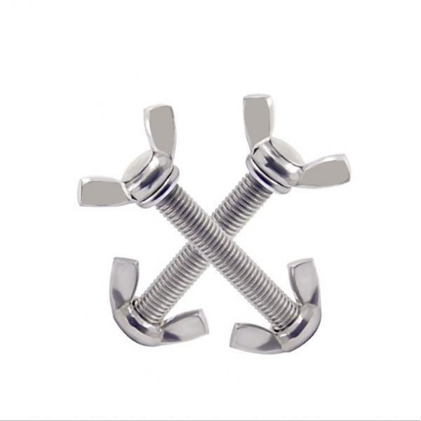 Quality M6 M5 Fly Butterfly Head Screw Butterfly Nut And Bolt Hot Dip Galvanized for sale
