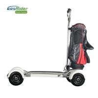 China Removable Battery Scooter Golf Bag Carrier 10.5 Inch Tire 4 Hour Full Charging Time factory