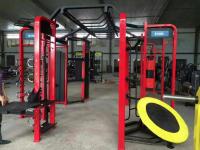 China 360 Multi Free Weight Gym Equipment 700KG Powder - Coated Steel Frames With Customized Logo factory