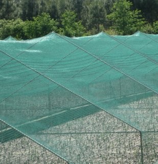 Quality Greenhouse Anti Insect Netting 1m-4m Green Abrasion Resistance for sale