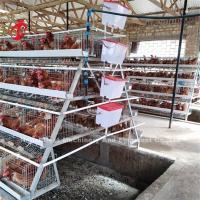Quality 4 Tiers Layer Chicken Battery Cages Automatic In Uganda Ada for sale