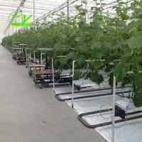 China Hydroponic Farming Agriculture Greenhouse with 8m Wide Span and Transparent Design factory