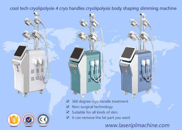 China Body Shaping Cryolipolysis Vacuum Machine , 4 Handles Cryolipolysis Fat Freeze Slimming Machine factory