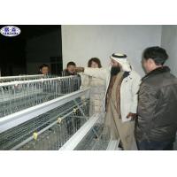 Quality Strong Chick Rearing Cage 120 Birds Capacity In Kenya SGS Certification for sale