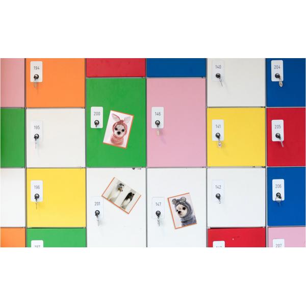 Quality 4x6" Easy To Use Size Photo Albums Magnets Frame Wall Mount Without Nailing for sale