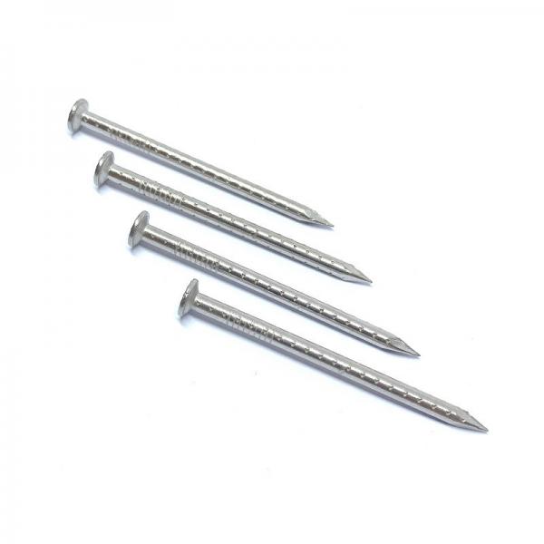 Quality SUS316 Fibreboard Hollow Shank Nails / Wood Nails 30X2.8MM CE Passed for sale