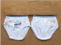 China White Novel 100% Polyester Organic Kids Underwear With Three-dimensional Cutting For Boys factory