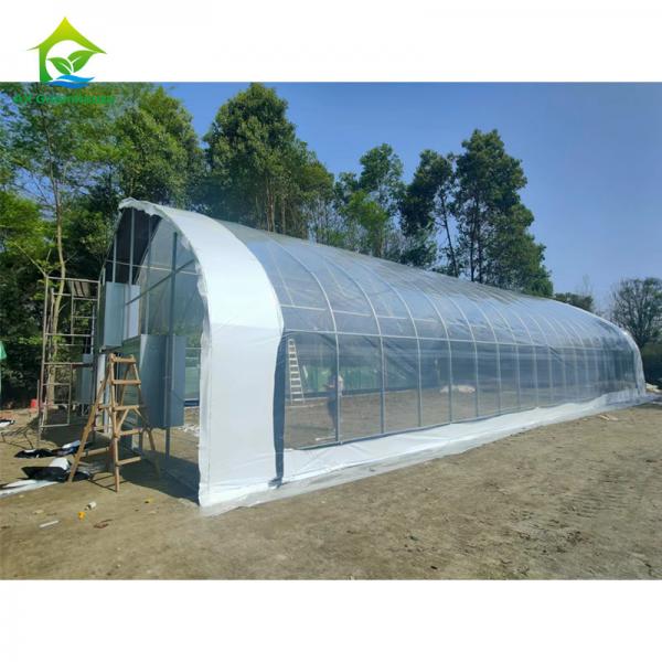 Quality Customized Cannabis Light Dep Solutions Electric Film Roller Blackout Greenhouse for sale