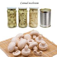 China Champignon Mushroom Canned Fruits Vegetables Champing Mushroom Slices factory