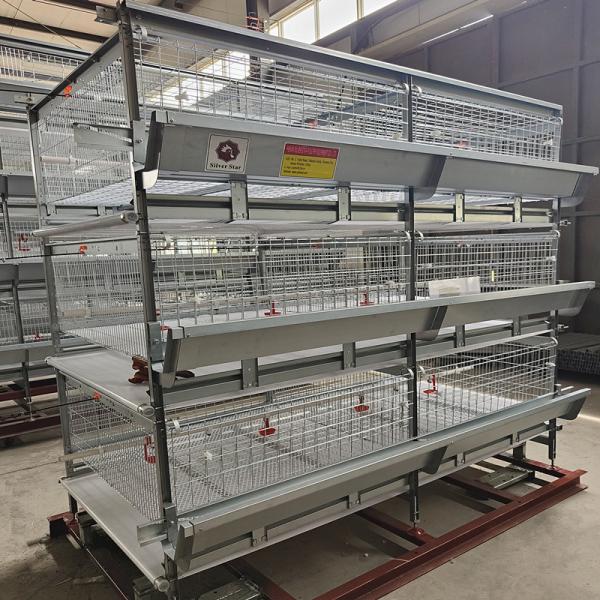 Quality Modern Farm 150 / 200 Birds Broiler Chicken Cage Q235A Steel Wire Material for sale