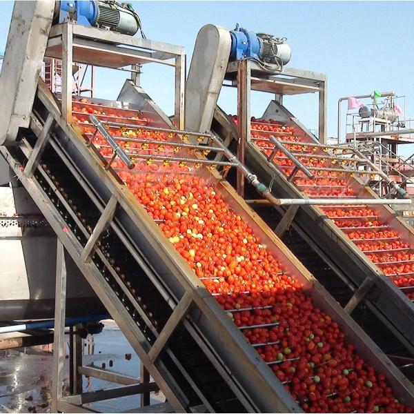 Quality 6.5tons Per Hour Raw Tomato Paste Production Line for sale