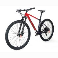 China SRAM NX 12 Speed Carbon Fiber Mountain Bike , 29 Inch MTB Cycle T900 Carbon factory