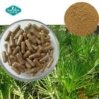 China Saw Palmetto Capsule with Nettle Root Extract for Men's Prostate factory