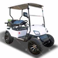 Quality Two-Person Golf Cart with LED Lights Rear Drum Brakes Customizable Color for sale