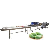 Quality Hot selling Factory Direct Sales Conveyor Belt Vegetable Washer by Huafood for sale