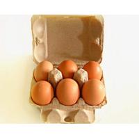 Quality Popular customized 6 holes egg carton egg tray production line egg box machine for sale