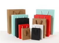 China Durable Coloured Paper Carrier Bags Matt / Glossy Lamination Surface Handling factory