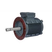 Quality Energy Saving 3 Phase Permanent Magnet Motor For Cooling Tower for sale